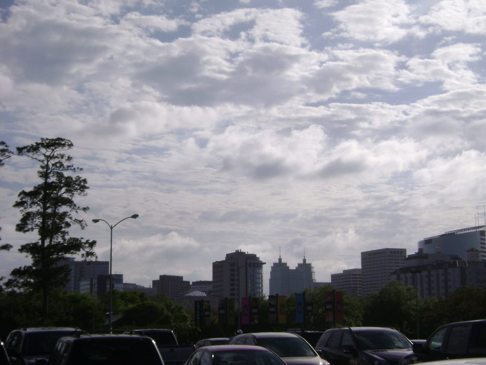 Skyline of the Texas Medical Center in Houston